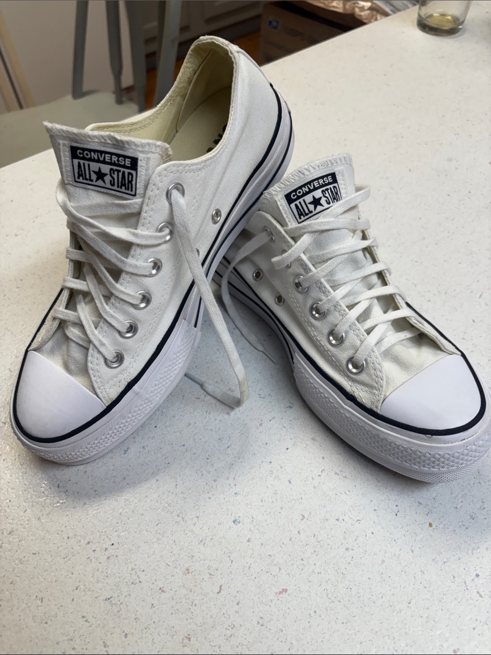 Converse All Star Low Top Sneakers in White with Black Trim